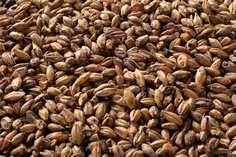 special roast malt|what is briess carabrown malt.